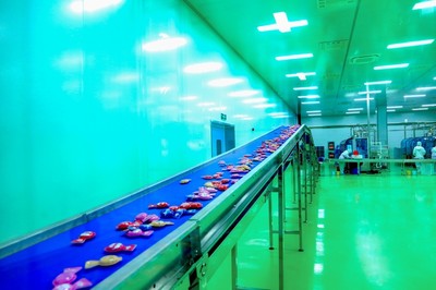 走進妙飛透明工廠,讓品質看得見