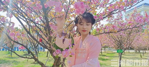 身著漢服踏歌行 岳陽職院景觀工程中的中國風設計與實踐