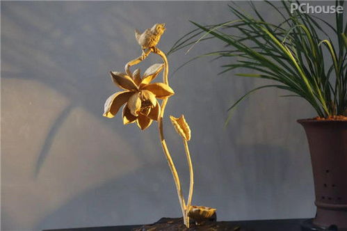 廣州看展靈感 精選軟裝與景觀工程，家居設計瞬間提升高級感