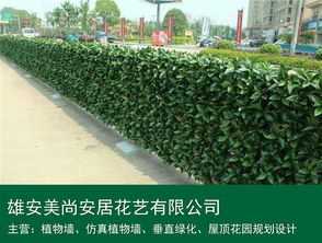仿真植物墻 雄安美尚安居景觀工程的設計、施工與價格指南